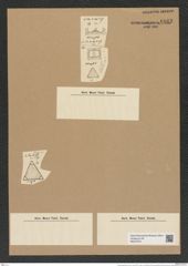Trinacria pileolus (Ehr.) Grun. (de-Toni-Nr.: Genus 119, Species 3416) Zeichnungen Sammlung Grunow Nr. 6863 (NHMW-BOT-W0375721)
